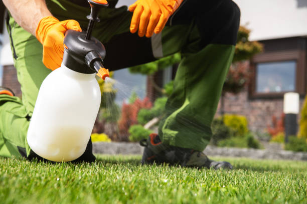Best Best Pest Control Companies  in Rigby, ID