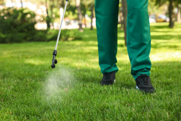 Best Exterminator Services  in Rigby, ID