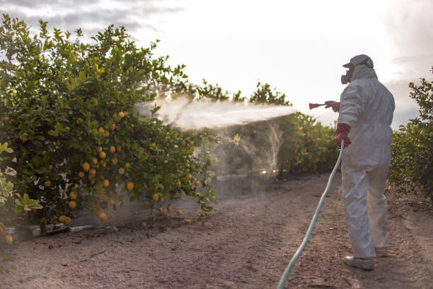 Best Residential Pest Control  in Rigby, ID