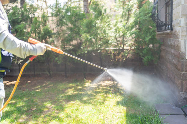 Best Local Pest Control Services  in Rigby, ID