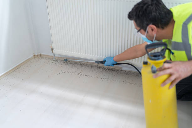 Professional Pest Control in Rigby, ID